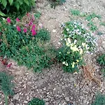 Des Noels Bed & Breakfast Faye-d'Anjou