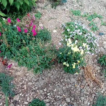 Des Noels Alojamento de Acomodação e Pequeno-almoço Faye-d'Anjou