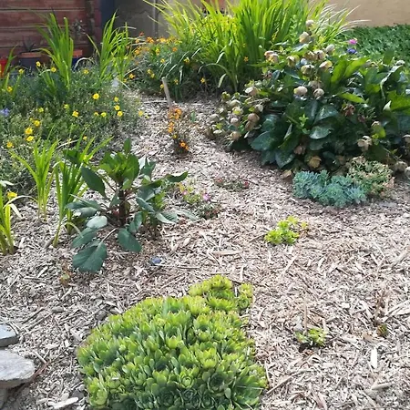 Alojamento de Acomodação e Pequeno-almoço Des Noels