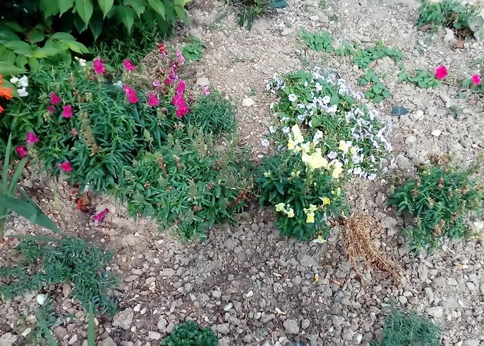 Des Noels Bed & Breakfast Faye-d'Anjou