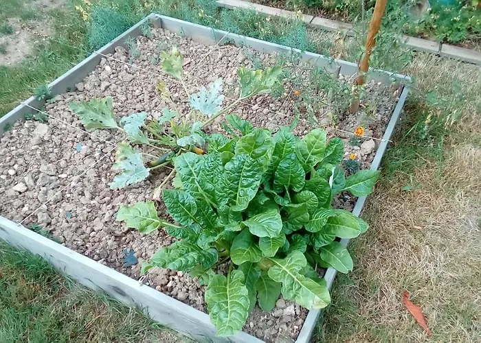 Des Noels Bed & Breakfast Faye-d'Anjou