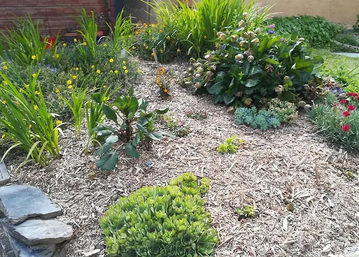 Bed & Breakfast Des Noels