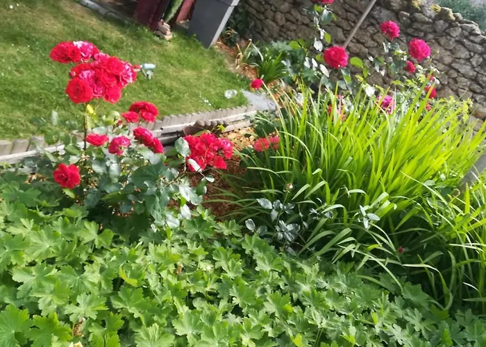 Des Noels Bed & Breakfast 3*